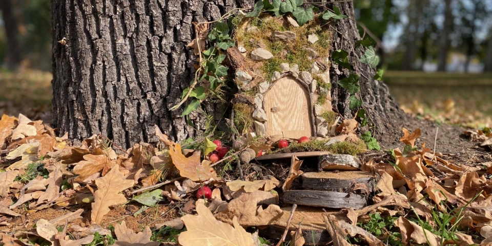 Ahol a fák törzsénél manók laknak 