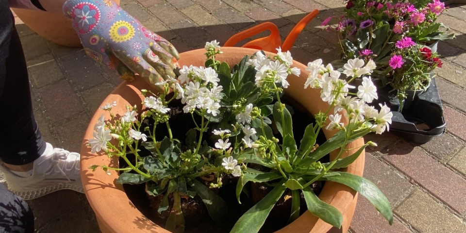 Szépülnek az iskolák