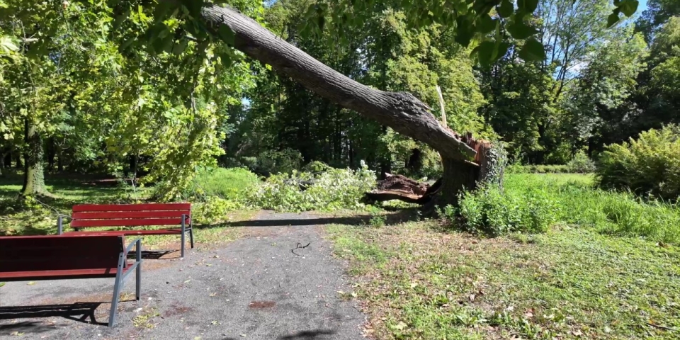 Híradó 2025.08.04.