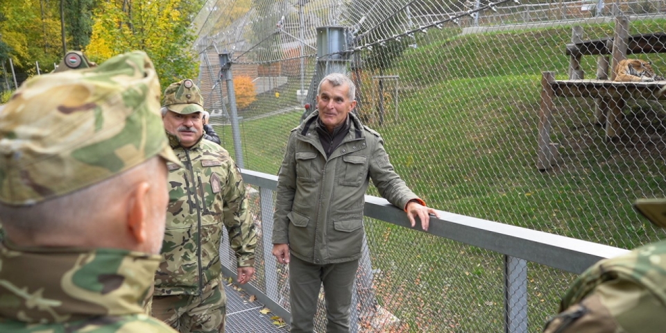 Olin, a bázisrepülőtér tigrise