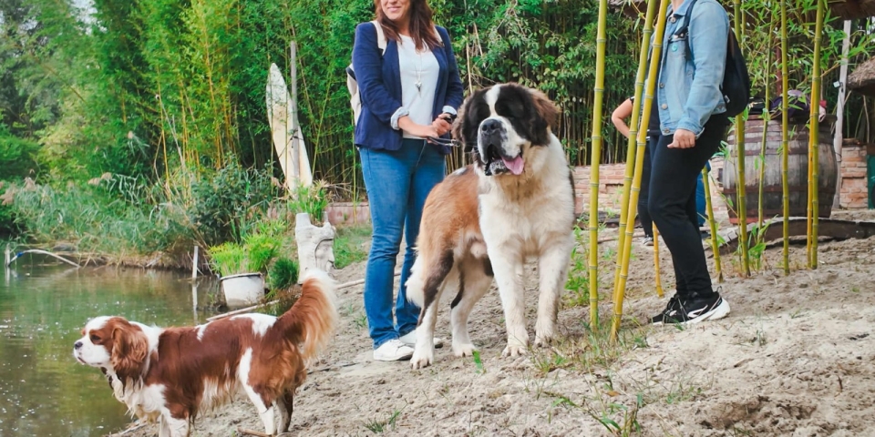 Csaholástól hangos tóparty