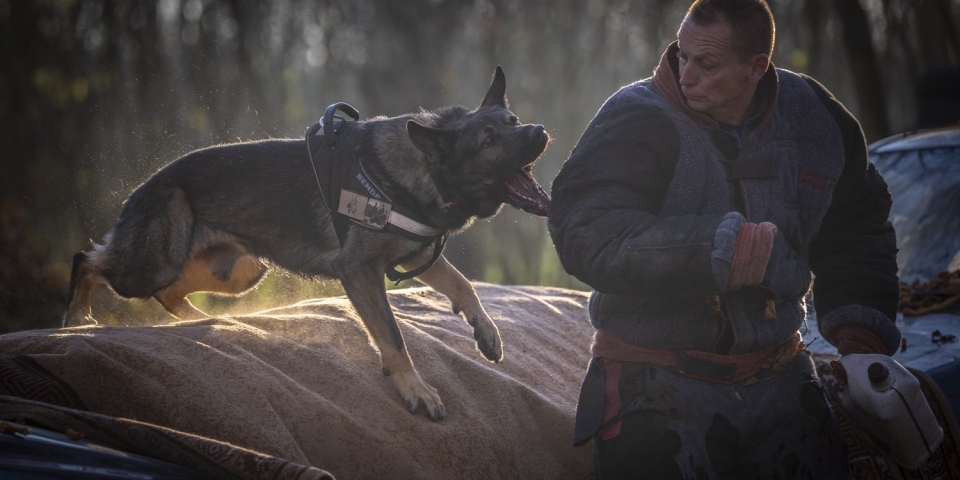 Kölykök a járőrkutyává válás útján