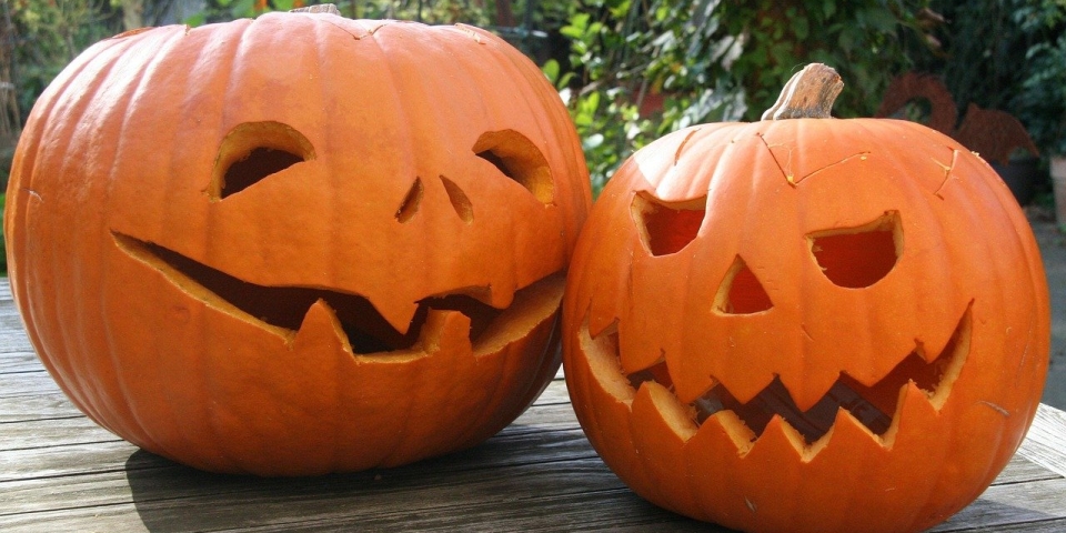 Tökdilemma  Faragjunk vagy ne faragjunk?