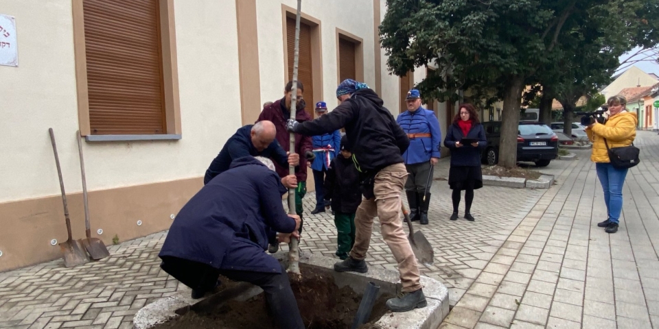 Emlékfát ültettek Lőw Lipót tiszteletére